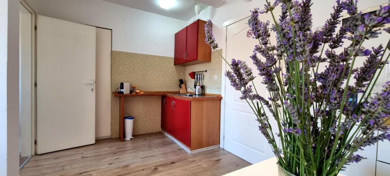 Tiny Studio Big Living Rovinj Bagian luar foto