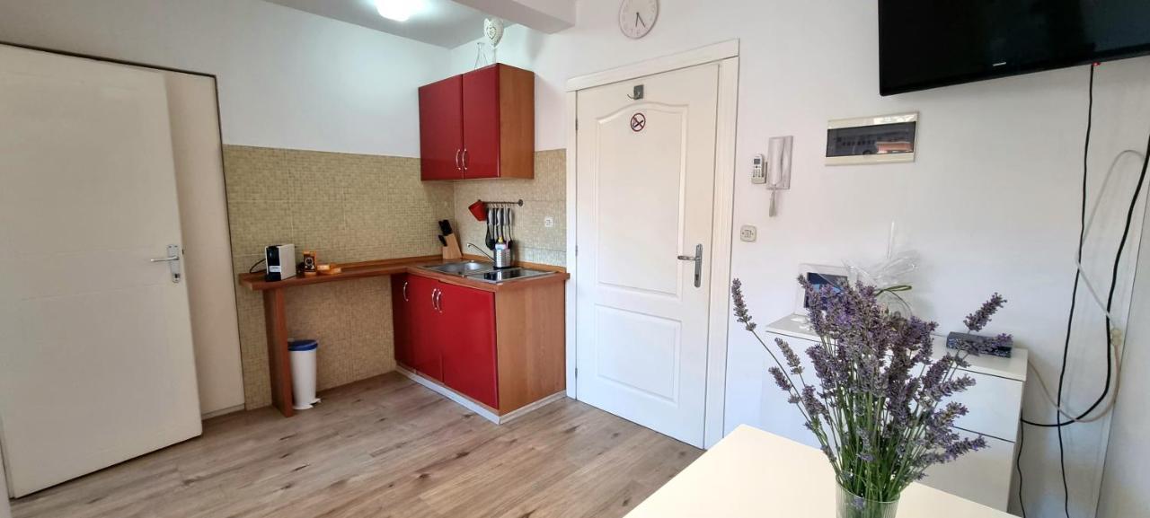 Tiny Studio Big Living Apartment Rovinj Bagian luar foto