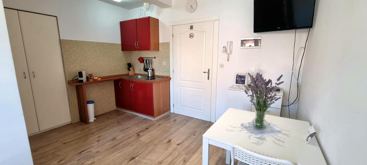 Tiny Studio Big Living Apartment Rovinj Bagian luar foto